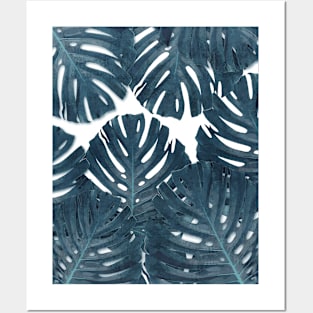 Monstera Leaf Posters and Art